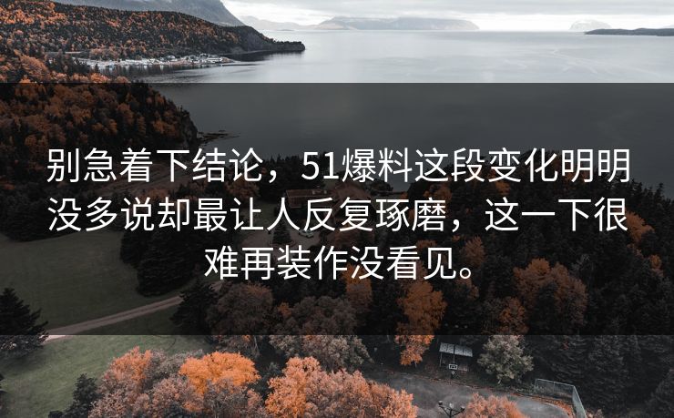 别急着下结论，51爆料这段变化明明没多说却最让人反复琢磨，这一下很难再装作没看见。