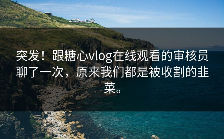 突发!跟糖心vlog在线观看的审核员聊了一次,原来我们都是被收割的韭菜。