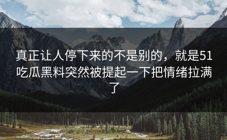 真正让人停下来的不是别的，就是51吃瓜黑料突然被提起一下把情绪拉满了