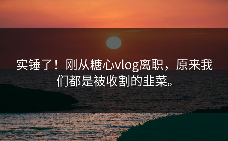 实锤了!刚从糖心vlog离职,原来我们都是被收割的韭菜。