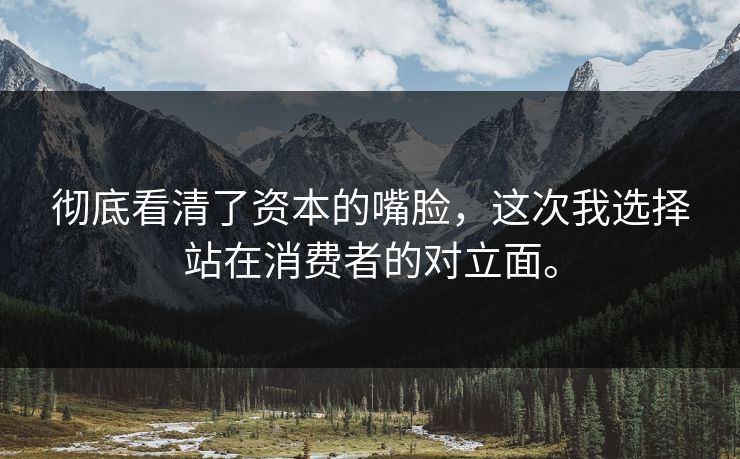 彻底看清了资本的嘴脸，这次我选择站在消费者的对立面。