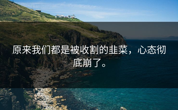 原来我们都是被收割的韭菜,心态彻底崩了。